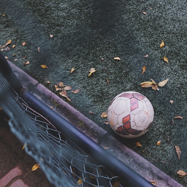 乒乓球亚洲杯：王艺迪3-0取胜 小组头名晋级16强.