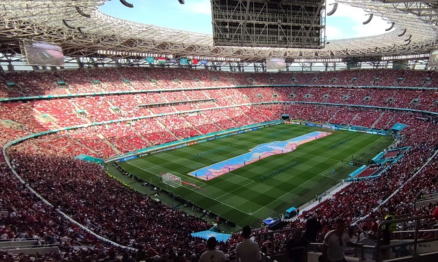 异彩的年轻 异彩的年轻