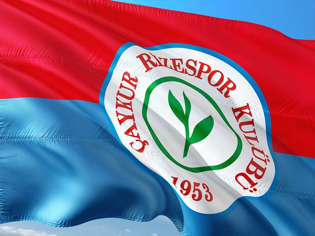 我們將從球 我們將從球