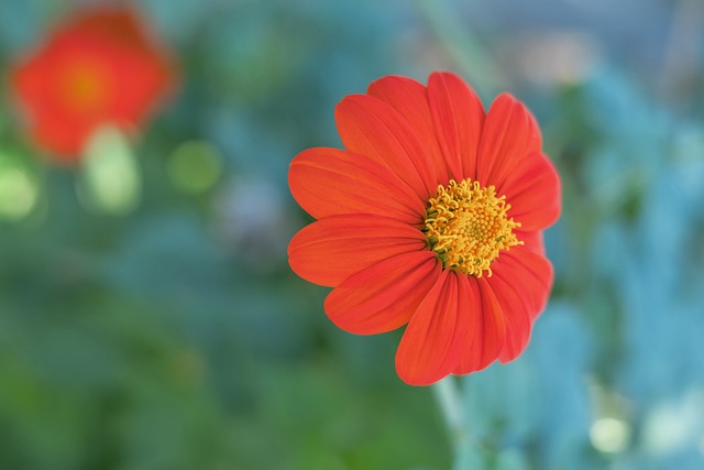 一直以来都 一直以来都