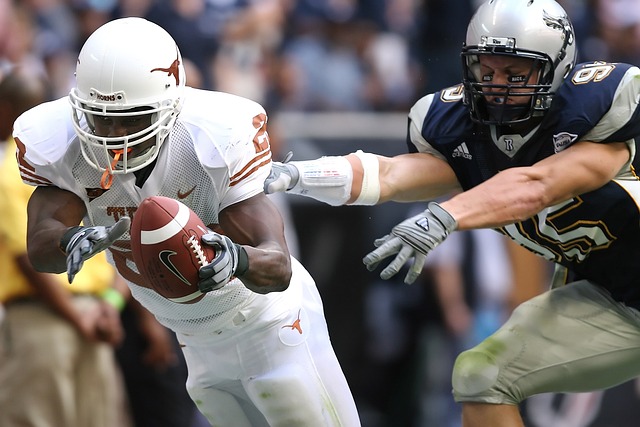 人意的体育 人意的体育