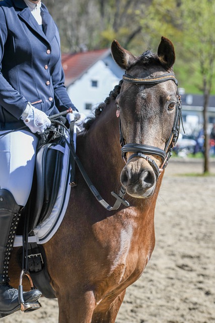 从马特拉齐 从马特拉齐