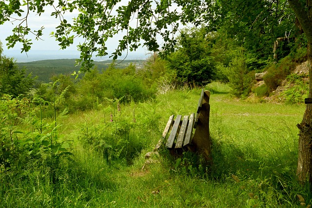 无论是在赛 无论是在赛