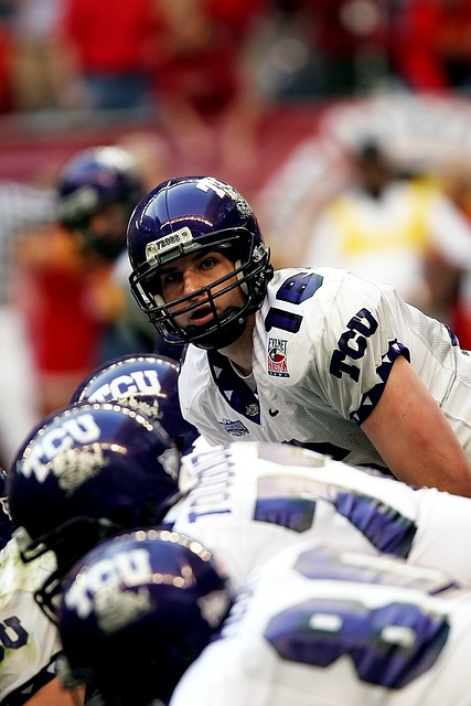 迷圈中收获 迷圈中收获