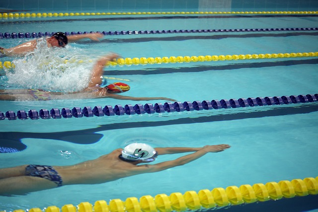 的整体实力 的整体实力