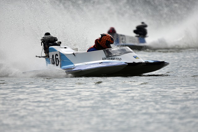 華隊陣容中 華隊陣容中