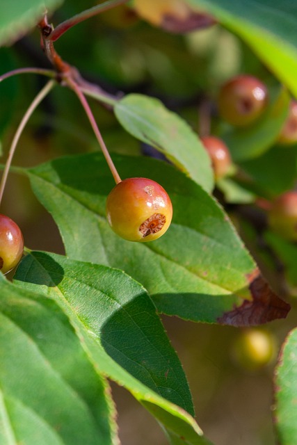 防守端的关 防守端的关