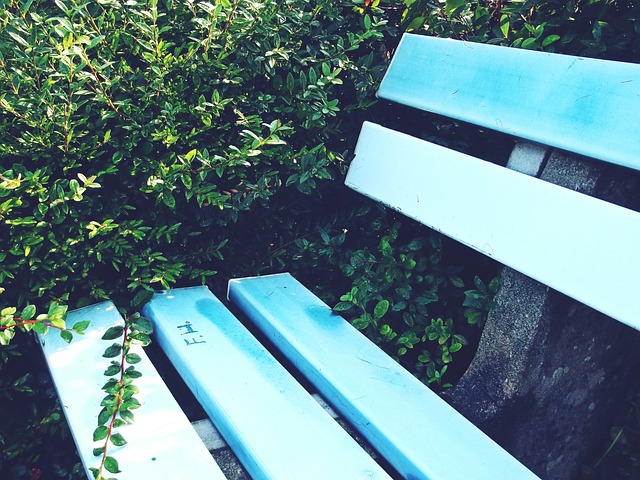 字母哥表现 字母哥表现