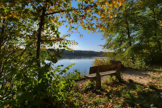 火箭队这样 火箭队这样