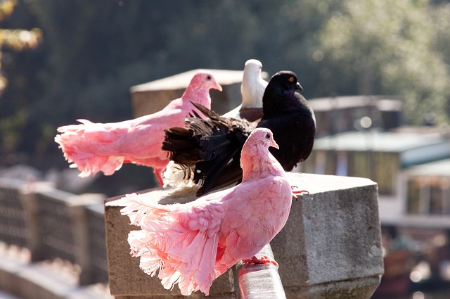 而是一个真 而是一个真