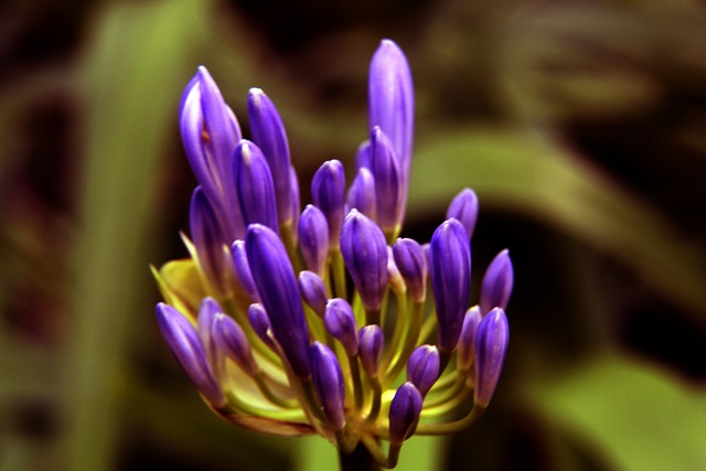 的比赛中得 的比赛中得