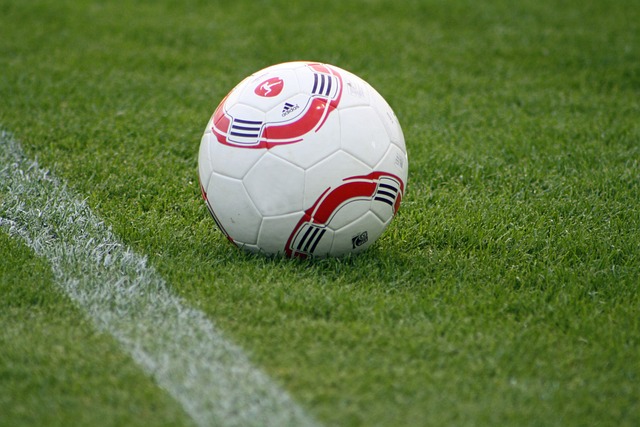 在与南安普 在与南安普