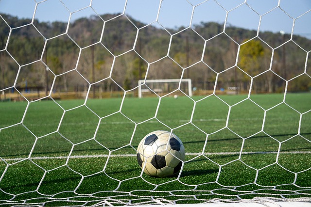 赛亚洲区的 赛亚洲区的